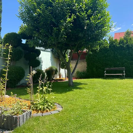 Family House In Town With Garden פודבראדי