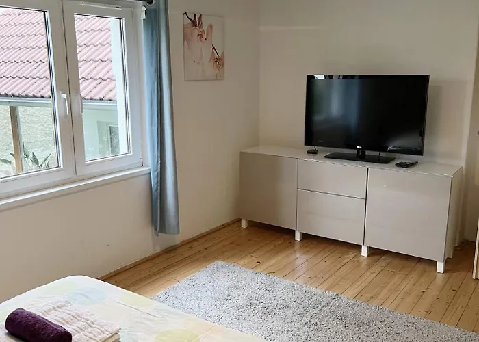 Family House In Town With Garden * Podebrady